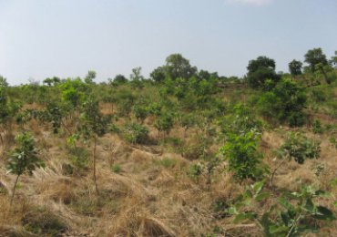 More than 150 Plots of land available at OHANI AMECHI IDODO Enugu State