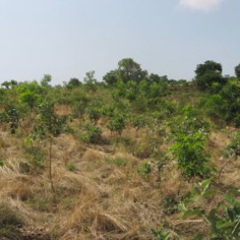 More than 150 Plots of land available at OHANI AMECHI IDODO Enugu State
