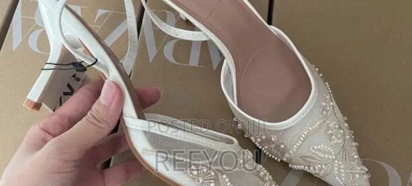 Zara Embroidered Mesh Kitten Heels