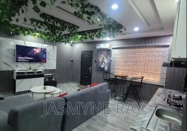 One Bedroom Apartment