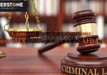 Criminal Civil Litigations: Police EFCC NDLEA NAFDAC