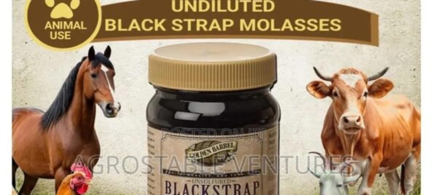 Mollases 25 LTR