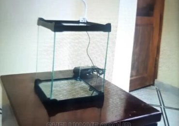 Aquarium Fish Tank