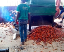 Palm Fruits Debuncher Machine