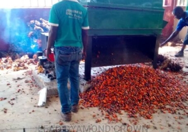 Palm Fruits Debuncher Machine