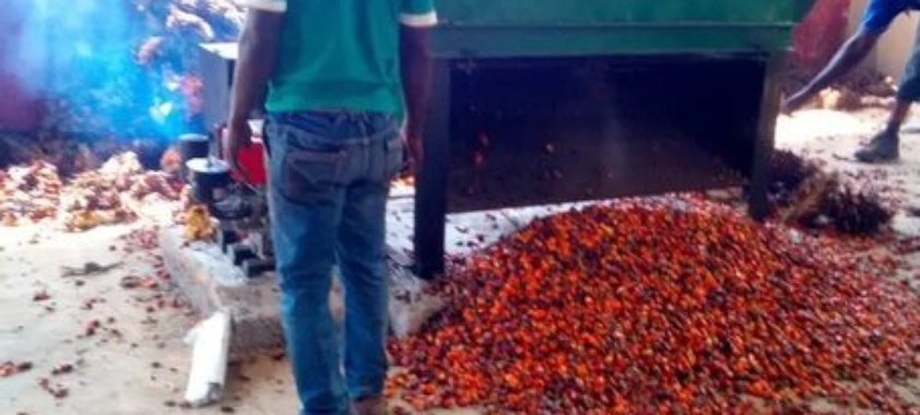 Palm Fruits Debuncher Machine
