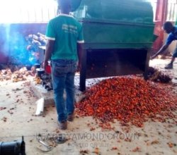 Palm Fruits Debuncher Machine