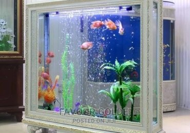 Fish Aquarium Design