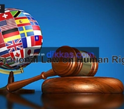 Human Rights Advocacy: Ensuring Protection and Justice