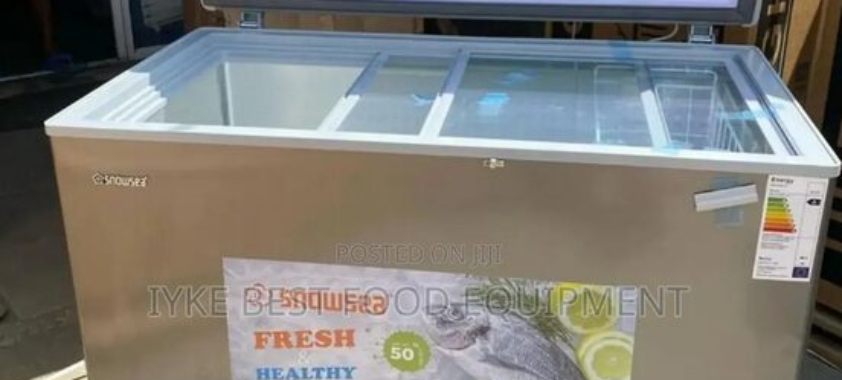 Snowsea Freezers 500L