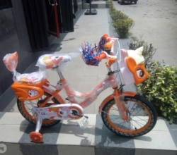 16 Inches Children Bicycle