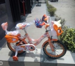 16 Inches Children Bicycle