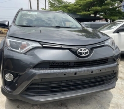 Toyota RAV4 XLE AWD (2.5L 4cyl 6A) 2016 Gray