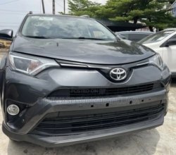 Toyota RAV4 XLE AWD (2.5L 4cyl 6A) 2016 Gray