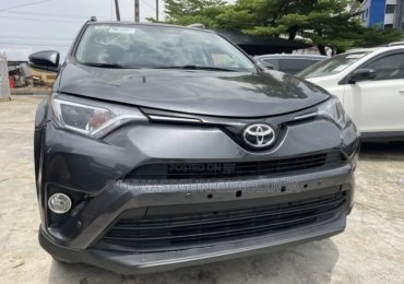 Toyota RAV4 XLE AWD (2.5L 4cyl 6A) 2016 Gray