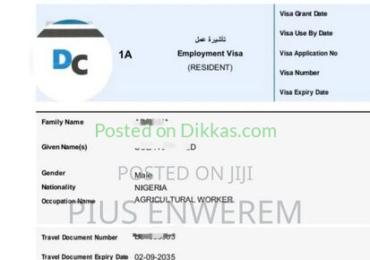 Oman 2 Years Freelance Work Other (100%)
