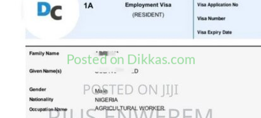 Oman 2 Years Freelance Work Other (100%)
