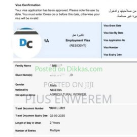 Oman 2 Years Freelance Work Other (100%)
