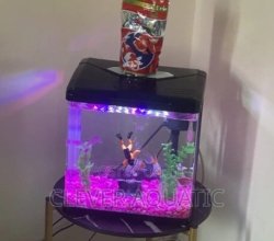 Yee Imported Aquarium