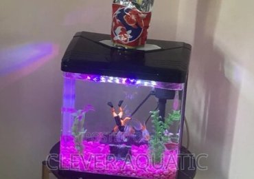 Yee Imported Aquarium