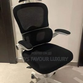 Modern Ergonomic Office Mesh Chair.