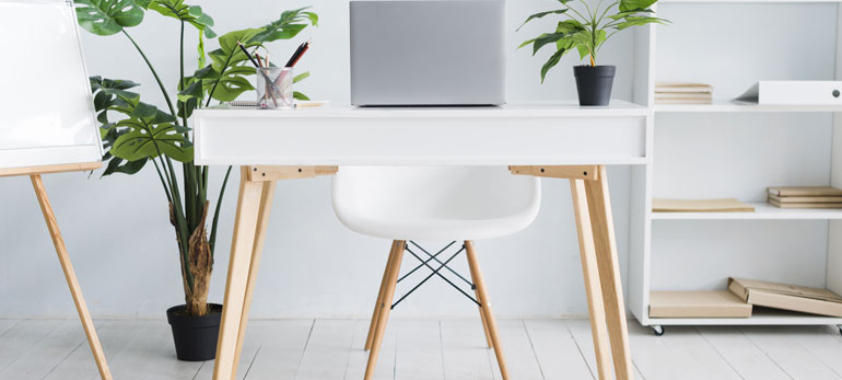 Learn Online Businesses with James