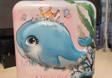 Children Character Luggage Boxes