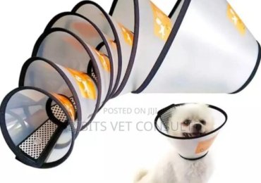 Adjustable Protective Recovery Elizabethan Collar